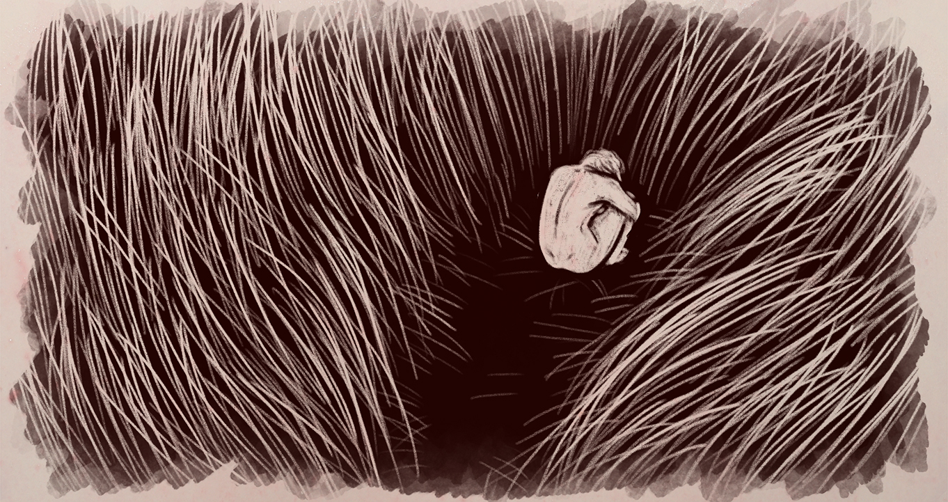 Lusófona novamente vencedora no Cinanima