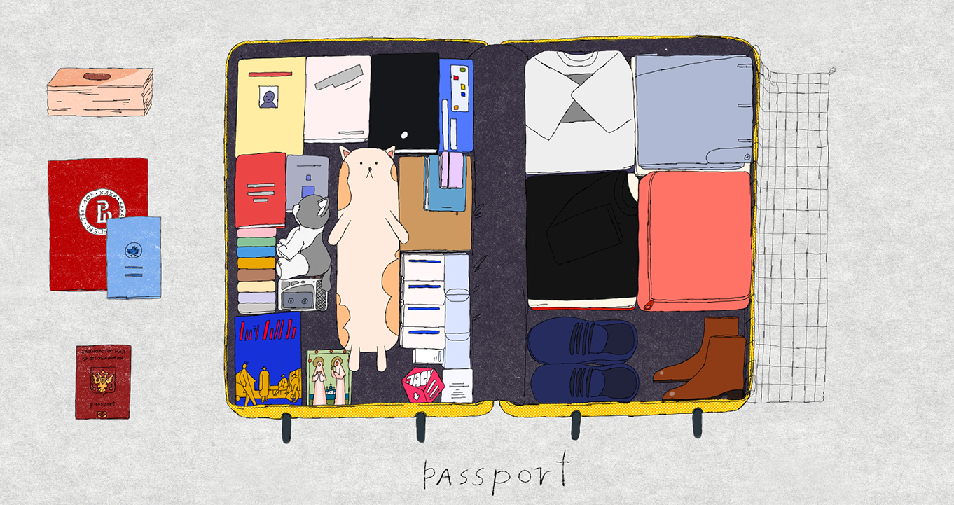 Curta RE:Anima na seleção oficial do ANIMA 2026